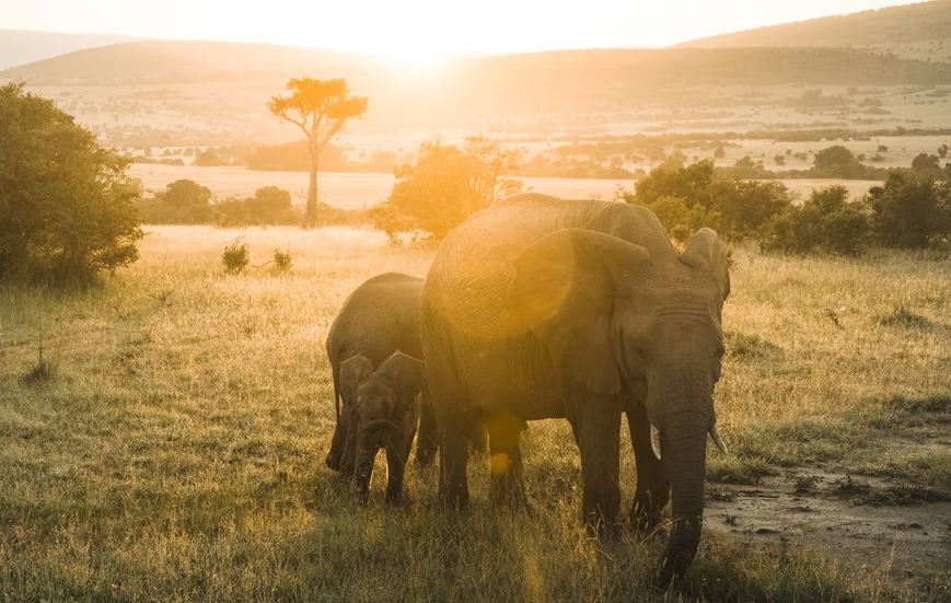 Prepare yourself for early starts.