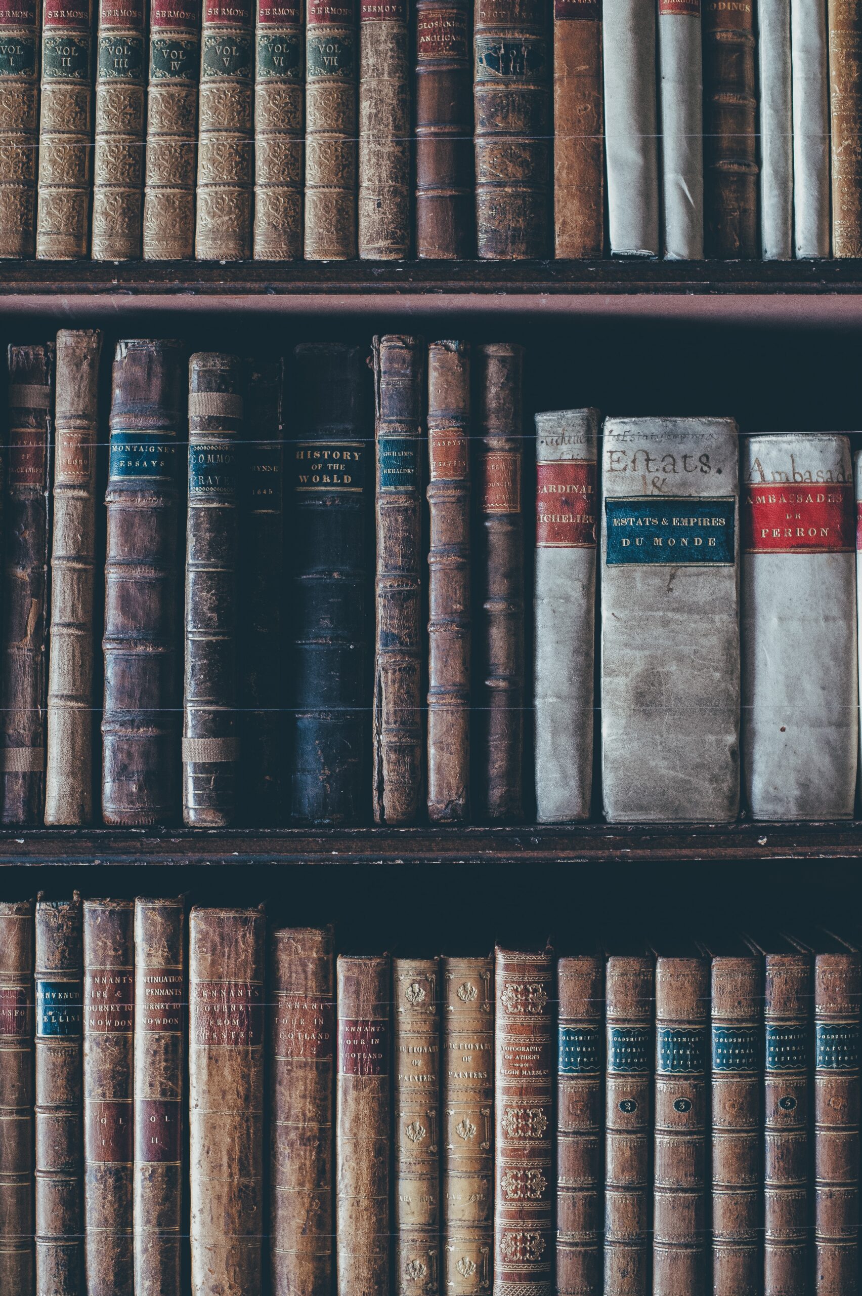 Assorted books in brown wooden bookshelf