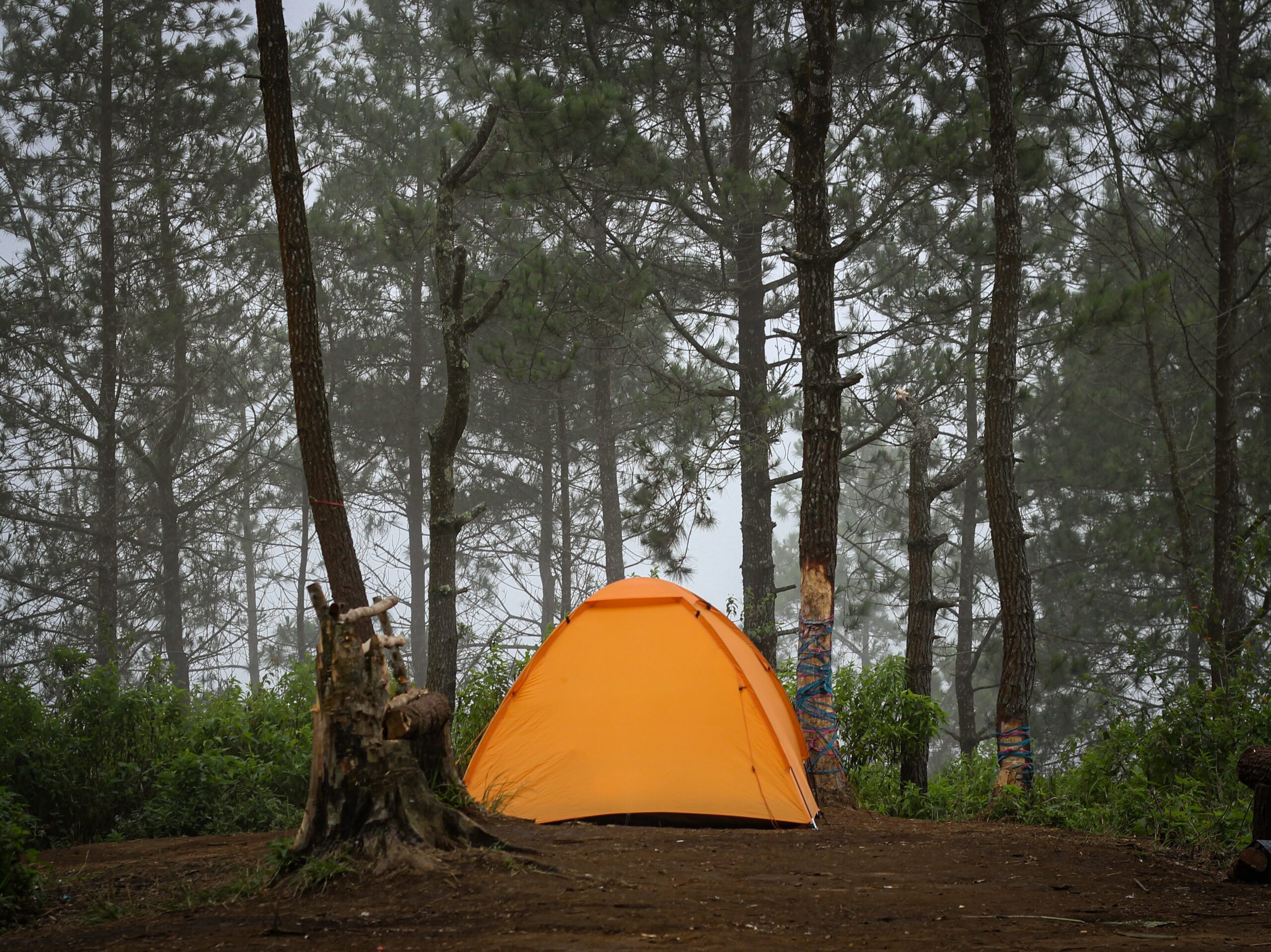 10 Must-Haves In Your Forest Camping Survival Kit