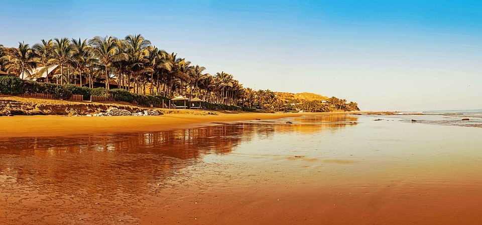 Mancora beach, coconut trees, low-tide beach, orange sand