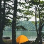 Tent in the forest by the lake